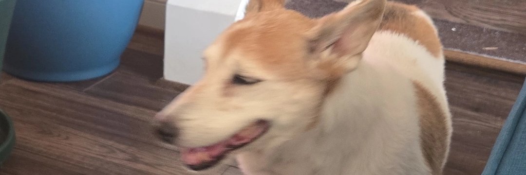 R1_DG3's profile banner image