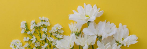 nvshaaa's profile banner image