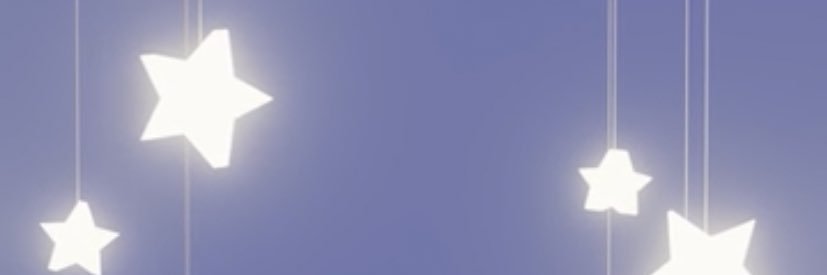 lil’ leaf blower banner