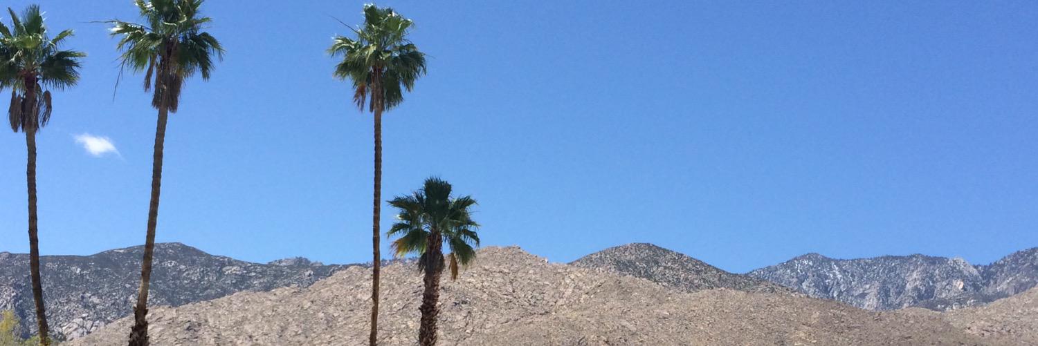 MeredithMorganM's profile banner image
