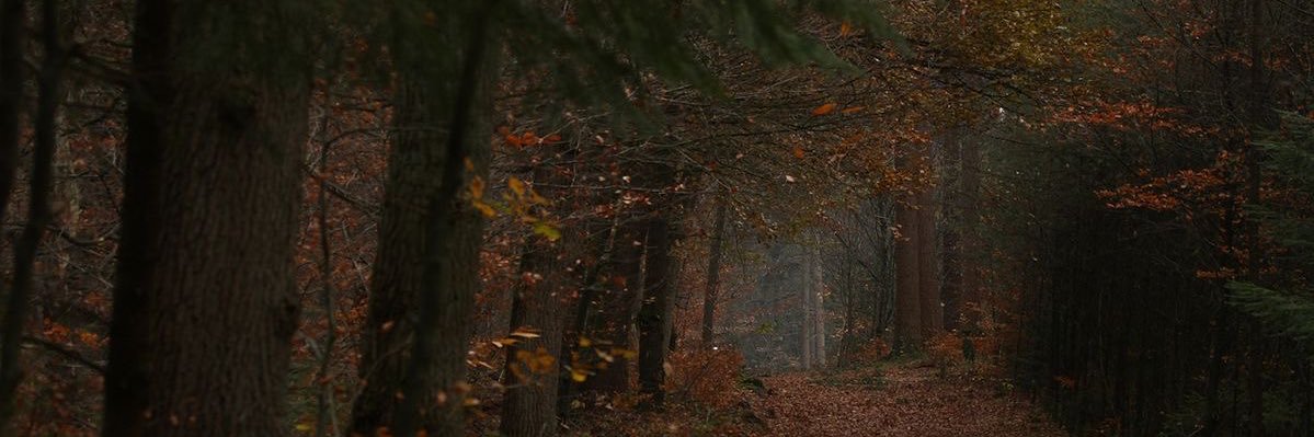 omars__curls's profile banner image