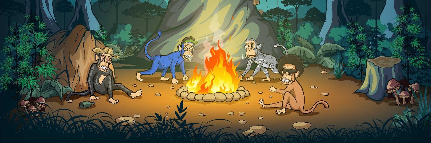 Maal Monkeys 🐒 banner