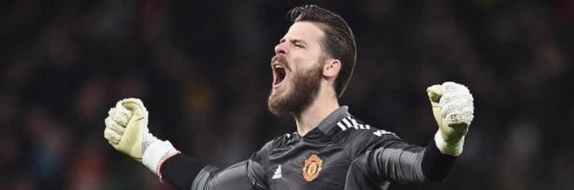 David De Gea and Grytebust Fan banner