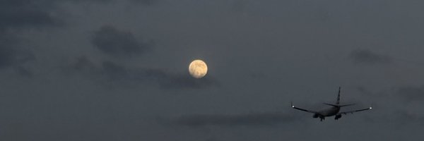 fiftyoverwc Profile Banner