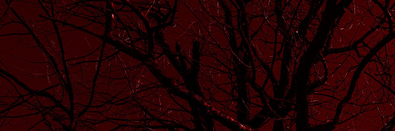 A.'s banner