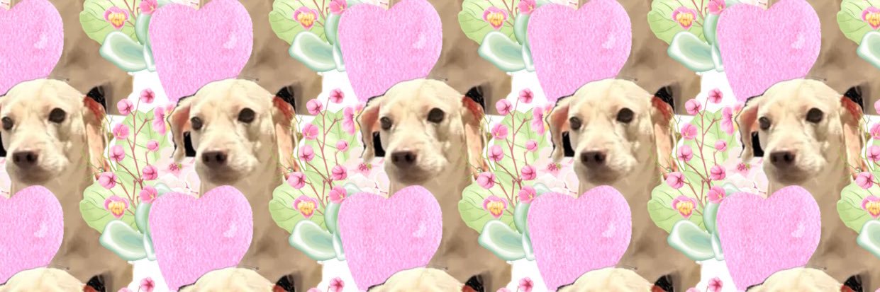 ivyjdg's profile banner image