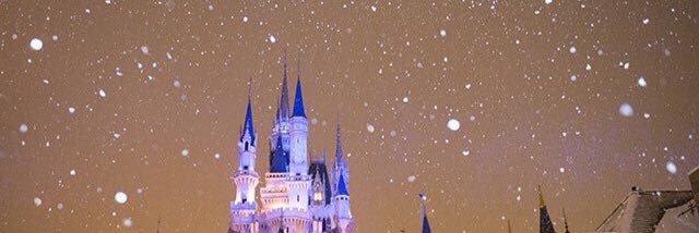 s banner