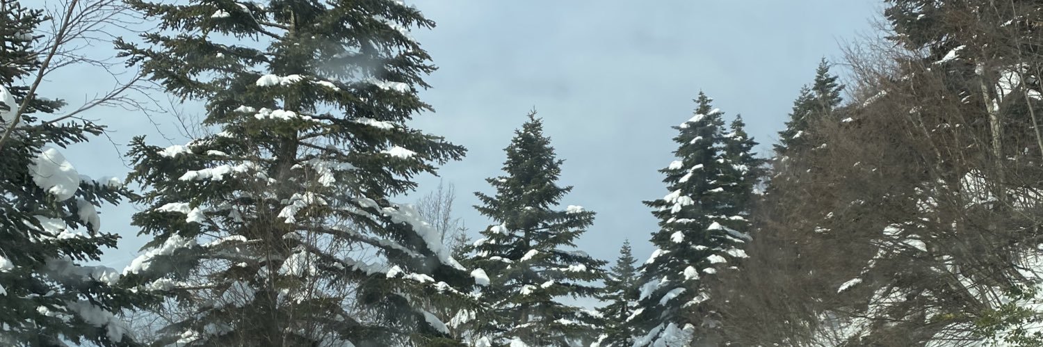 Ceypto banner
