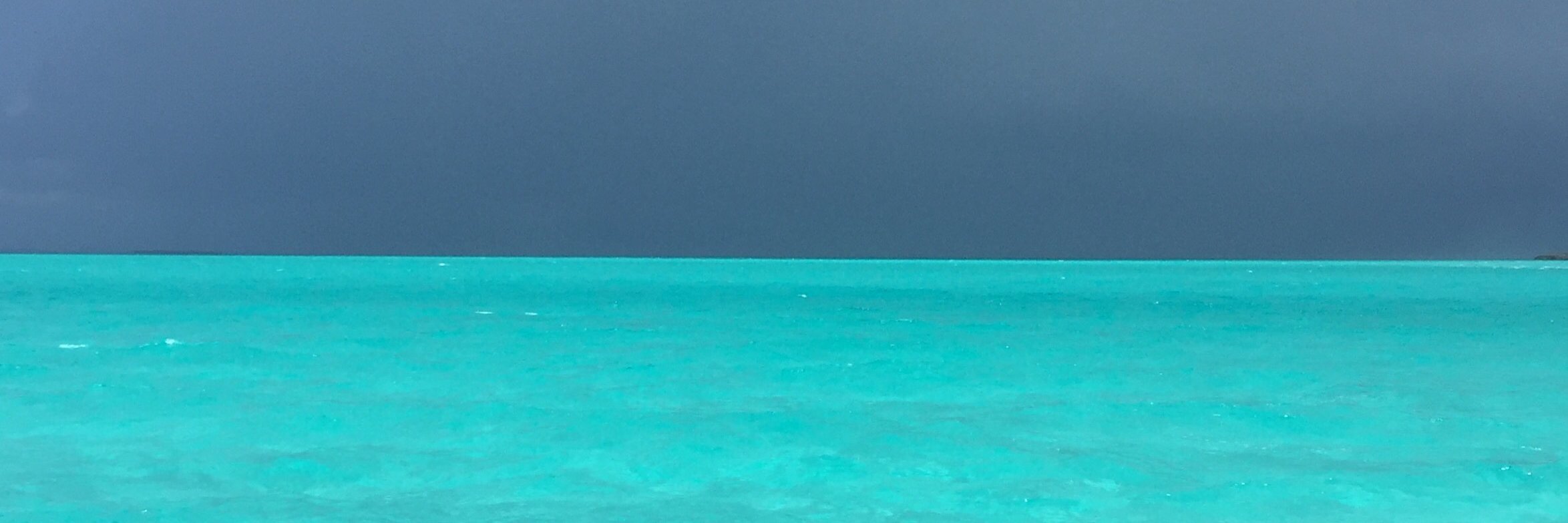 SDWarren2's profile banner image