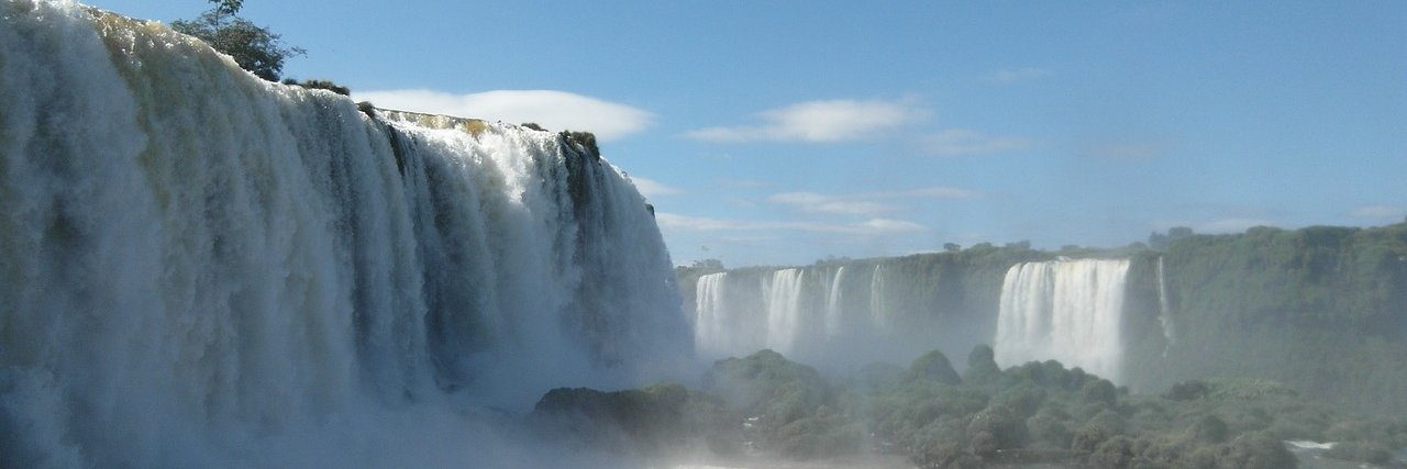 Ines Ushiro-Lumb banner