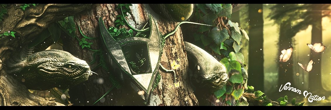 Vennom Nation banner