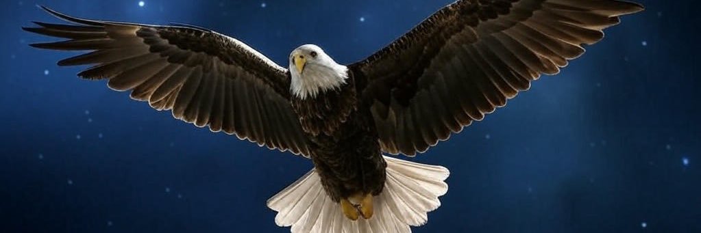 𝕏 American🦅Eagleman™ 𝕏's banner