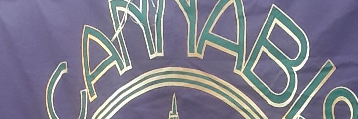 Antluv 804 banner