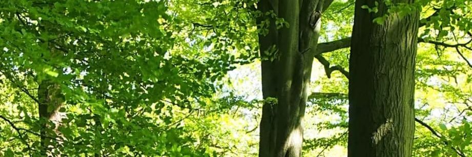 Fennick:) banner
