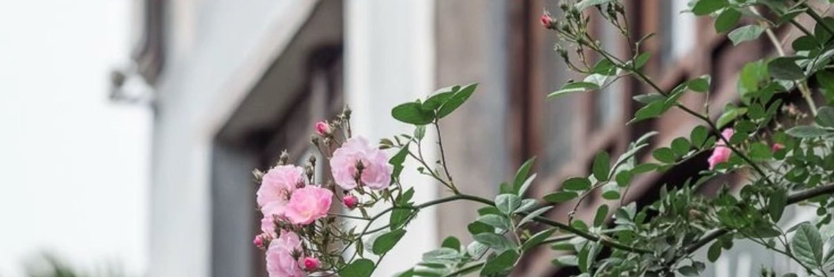 rhmah404's profile banner image
