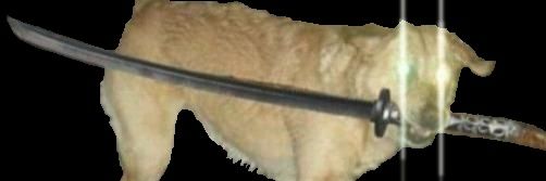 DaChickenHunter's profile banner image