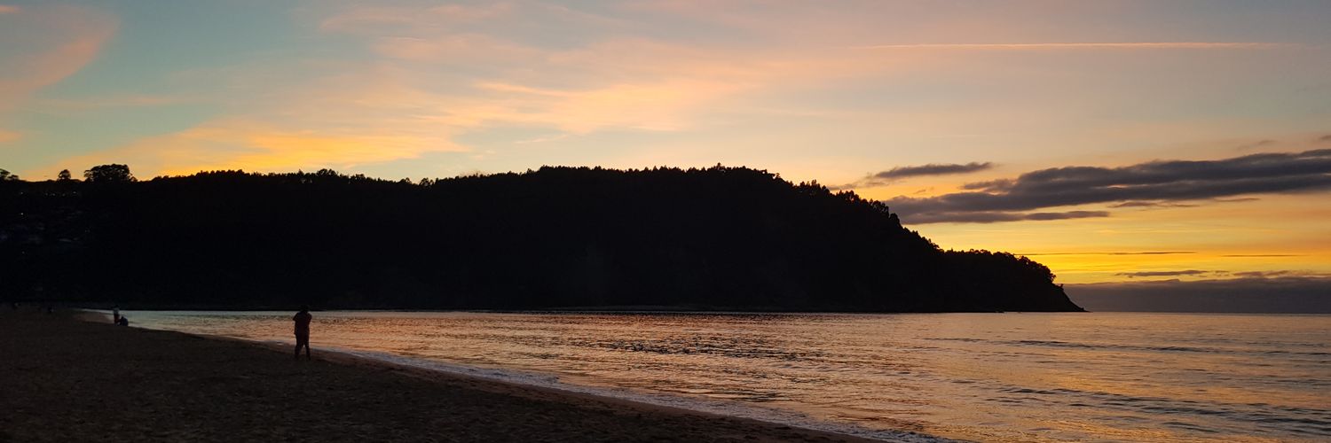 🌊🏄🏻‍♂️AlvarLF🏄🏻‍♂️🌊 banner