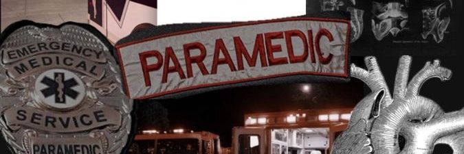 Michaila Hamilton banner