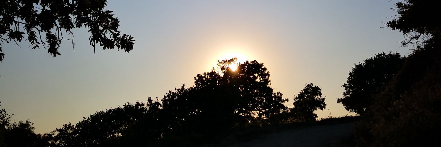 ElifVeyses's profile banner image