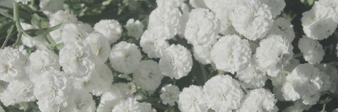 nu__room2's profile banner image