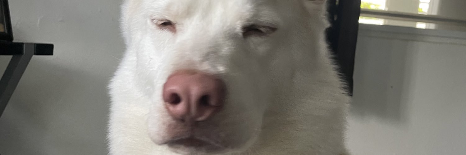 shins ☁️🇵🇷 banner