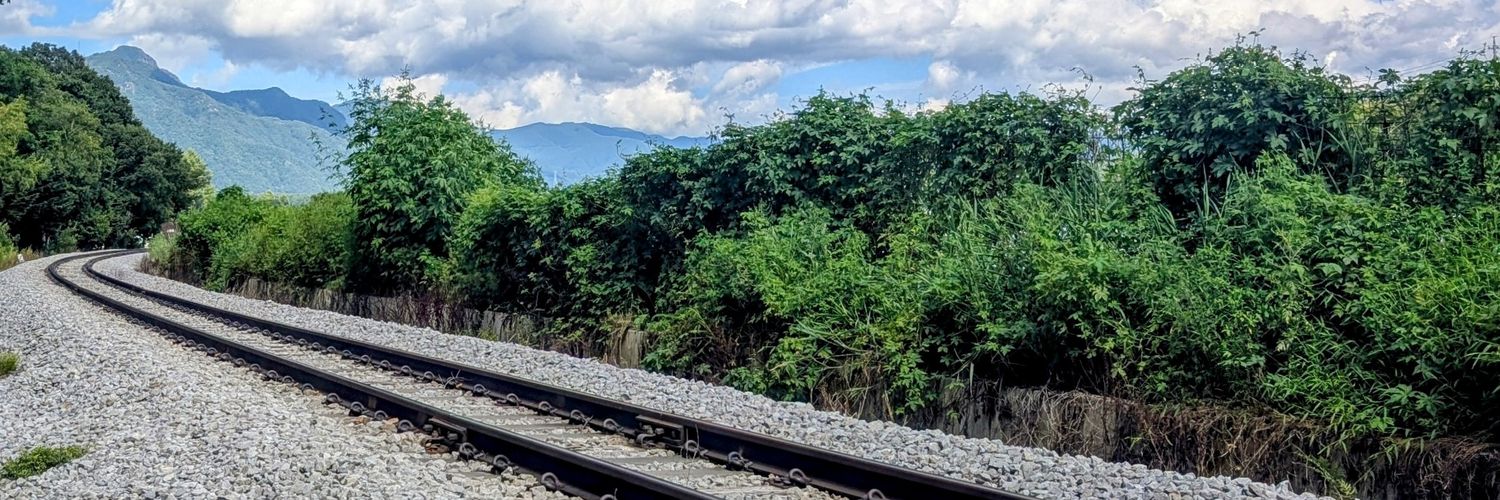 小川チエ⛺ banner