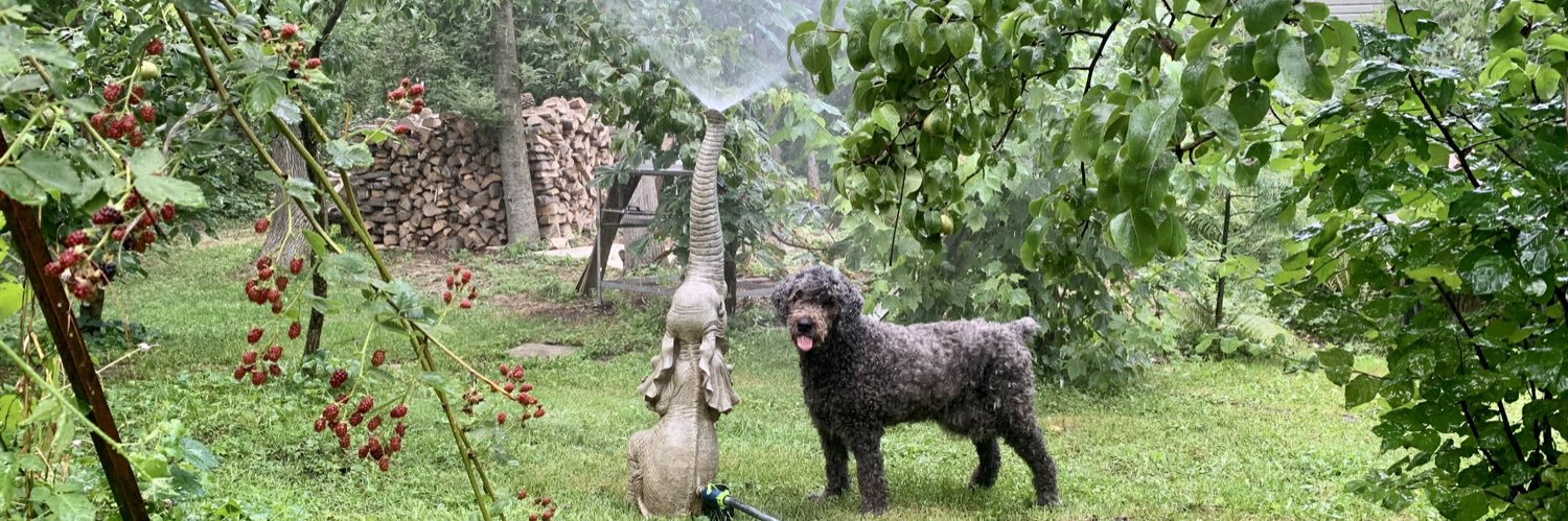 vickrulicki's profile banner image