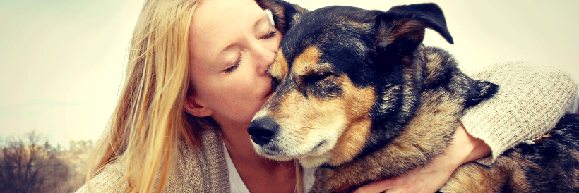 DogScent's profile banner image