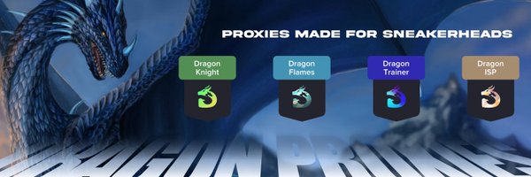 dragonproxies_ Profile Banner