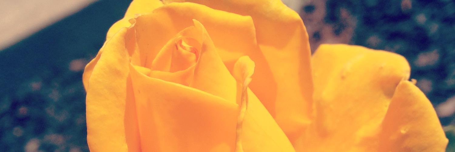 GeisKt's profile banner image