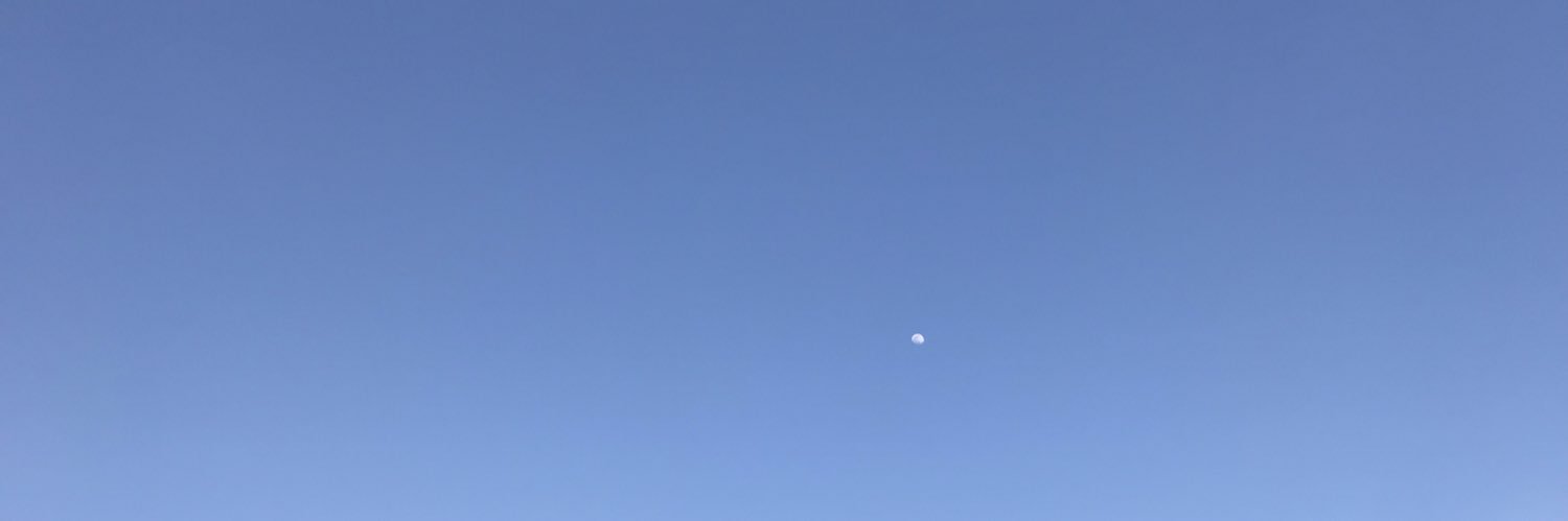 sayafleur's profile banner image