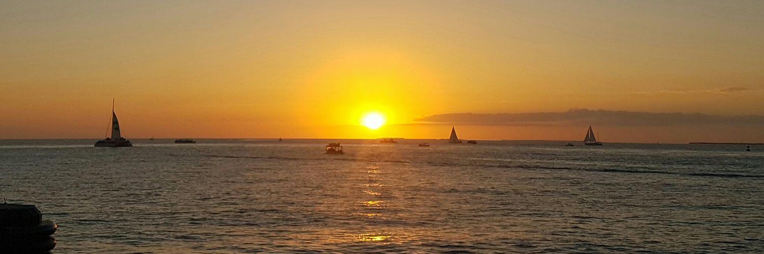 Javier Bernardes B. banner