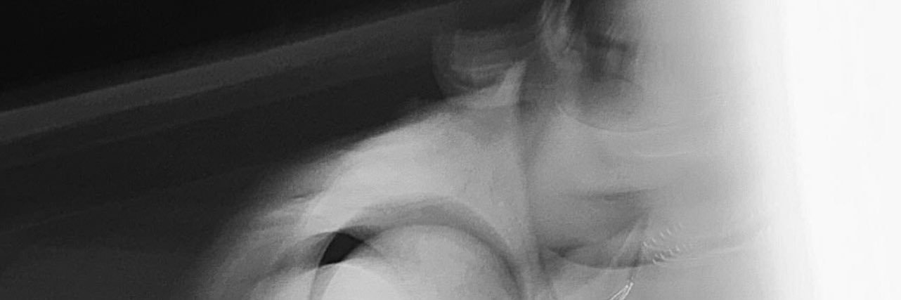 wasupeemm 🐶 banner