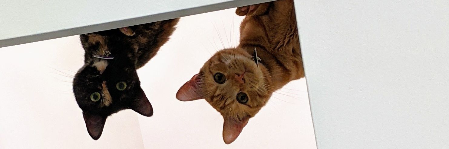 KatSikes8's profile banner image