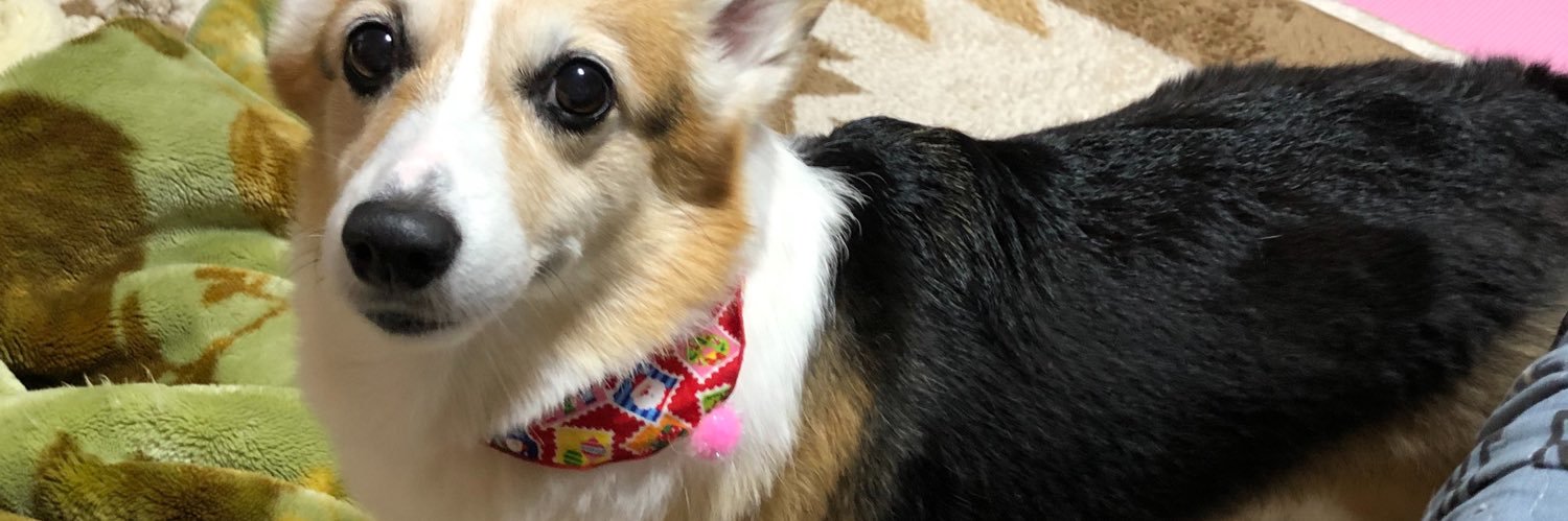 cerberus_14's profile banner image