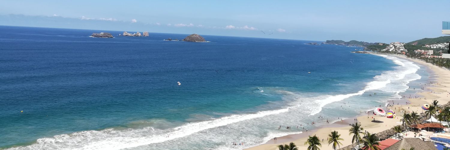 mauricio salinas banner