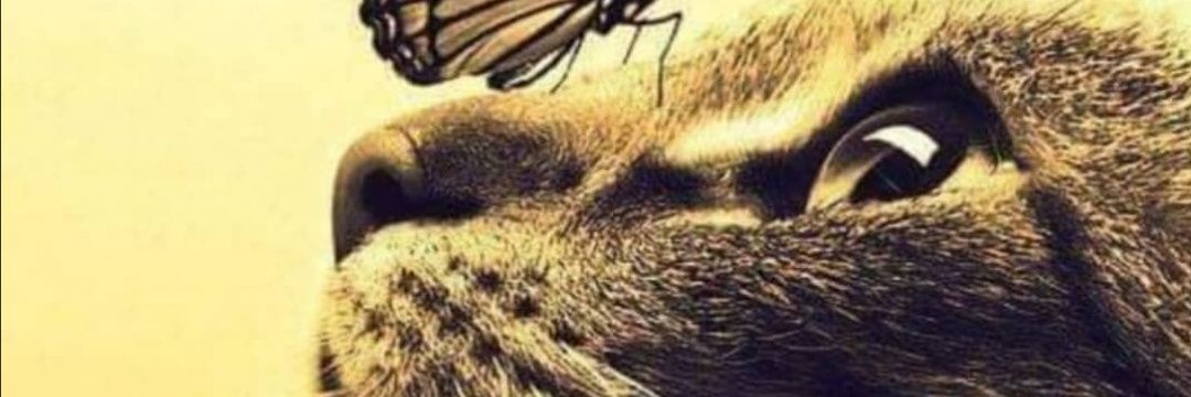 _Caritog's profile banner image