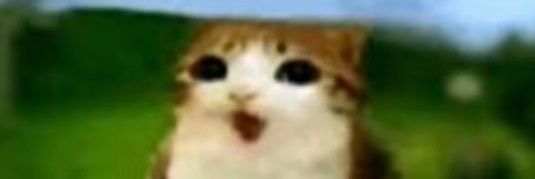 ᡣ𐭩あんこ➮ Moo 🐄 banner