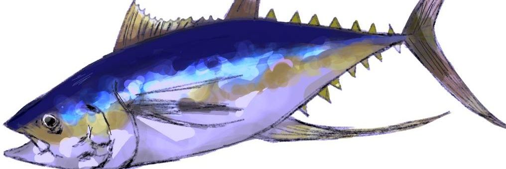 zuefishing's profile banner image
