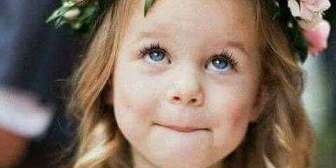 nancy_kayed's profile banner image