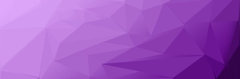 Lady Crypture banner