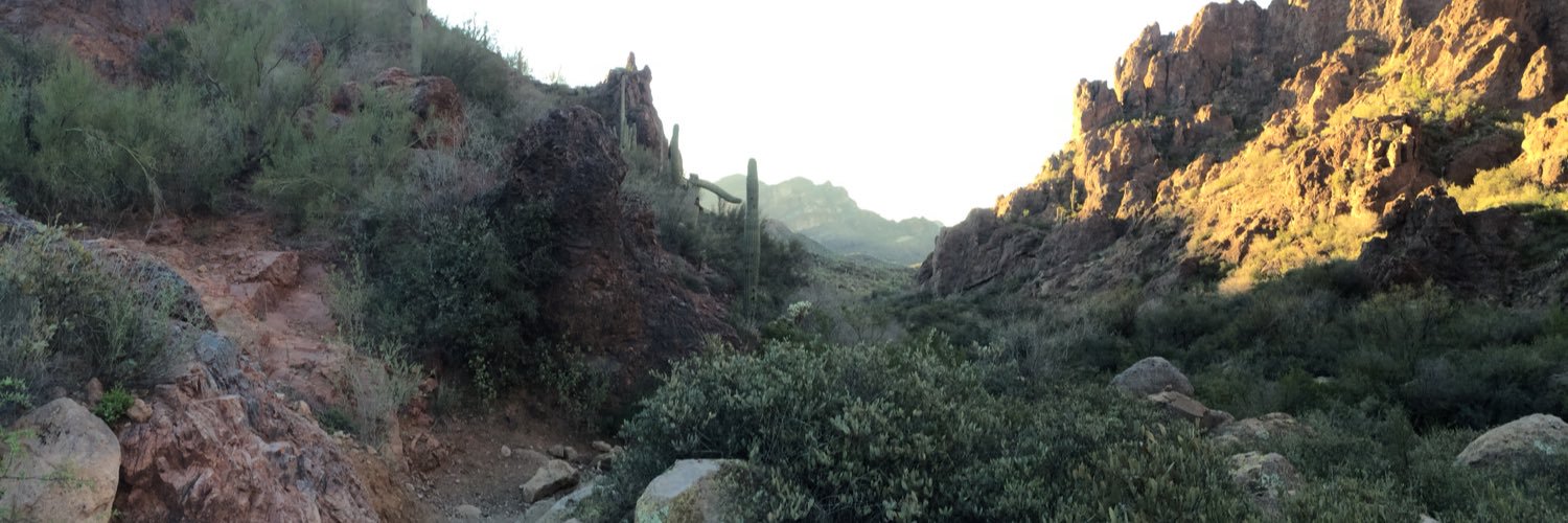TSchafersman's profile banner image