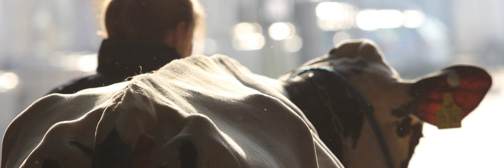 Dr. Uwe Scheper banner