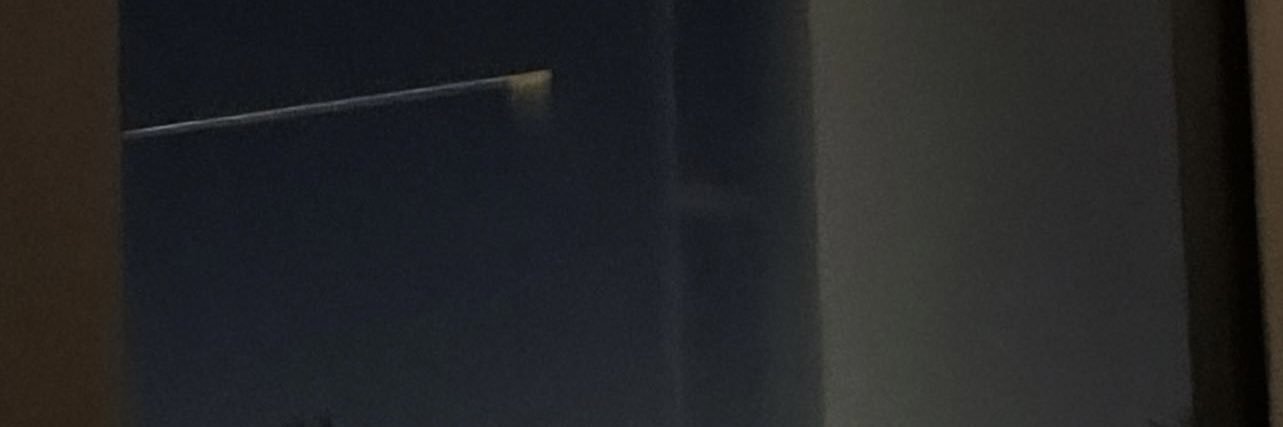 bonsiiiiee's profile banner image