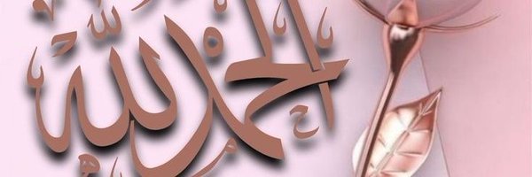 طيور النورس Profile Banner