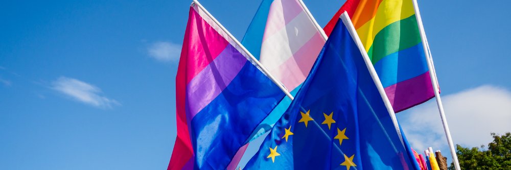 *doḱtōr ph₂eimon 🇪🇺 banner