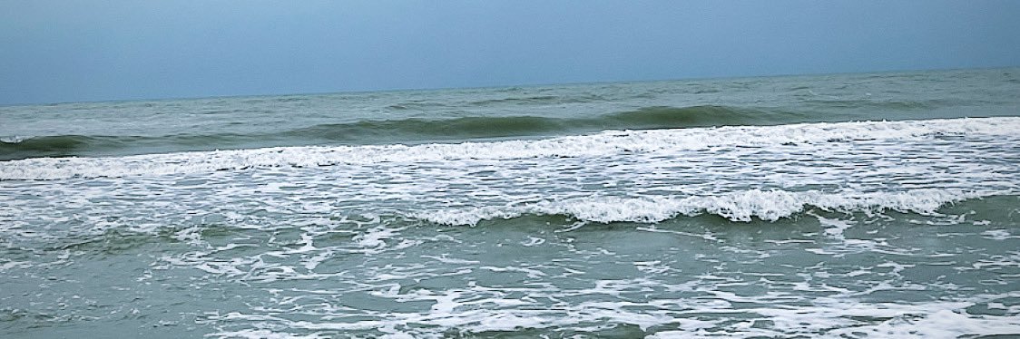 بیستوری banner