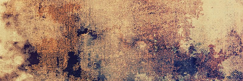 coiningtrad's profile banner image