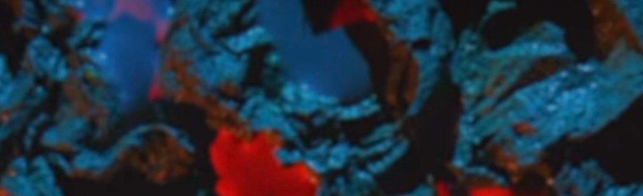 pattymanajaro's profile banner image