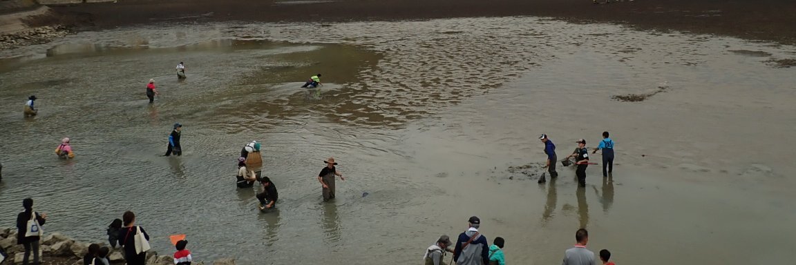 SATO Masahiro banner